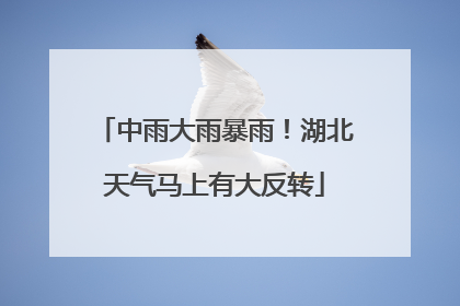 中雨大雨暴雨！湖北天气马上有大反转