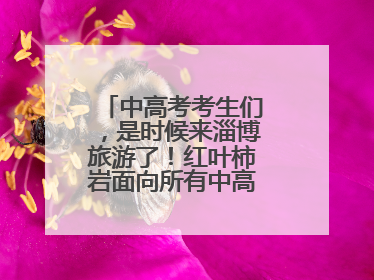 中高考考生们，是时候来淄博旅游了！红叶柿岩面向所有中高考考生免门票