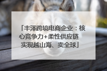 丰泽跨境电商企业：核心竞争力+柔性供应链 实现越山海、卖全球