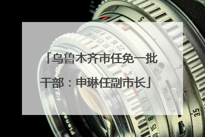 乌鲁木齐市任免一批干部：申琳任副市长