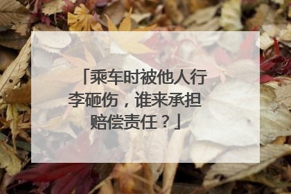 乘车时被他人行李砸伤，谁来承担赔偿责任？