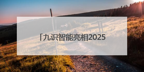 九识智能亮相2025廊坊经洽会：以技术革新推动智能物流产业升级