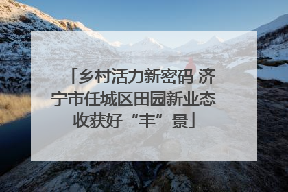 乡村活力新密码 济宁市任城区田园新业态收获好“丰”景