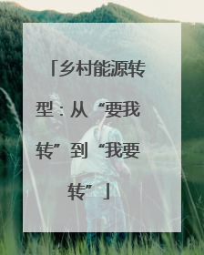 乡村能源转型：从“要我转”到“我要转”