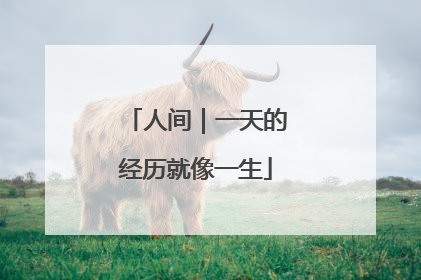 人间｜一天的经历就像一生