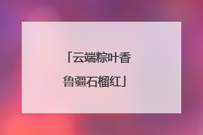 云端粽叶香 鲁疆石榴红