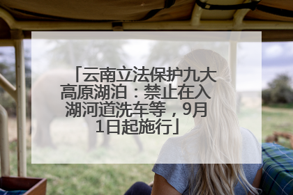 云南立法保护九大高原湖泊：禁止在入湖河道洗车等，9月1日起施行