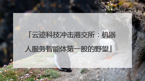 云迹科技冲击港交所：机器人服务智能体第一股的野望