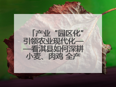 产业“园区化”引领农业现代化——看淇县如何深耕小麦、肉鸡 全产业链打造现代农业产业园