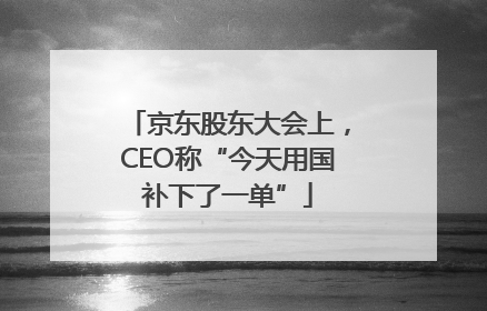 京东股东大会上，CEO称“今天用国补下了一单”