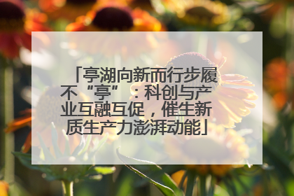 亭湖向新而行步履不“亭”：科创与产业互融互促，催生新质生产力澎湃动能