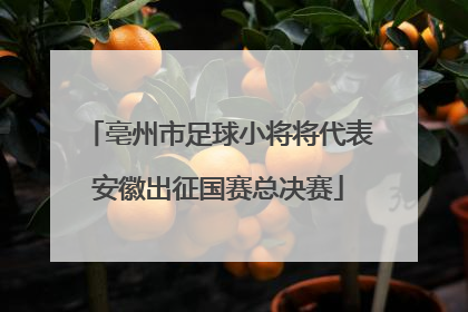 亳州市足球小将将代表安徽出征国赛总决赛