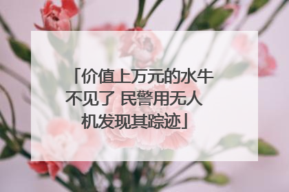 价值上万元的水牛不见了 民警用无人机发现其踪迹