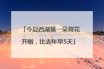 今夏西湖第一朵荷花开啦，比去年早5天