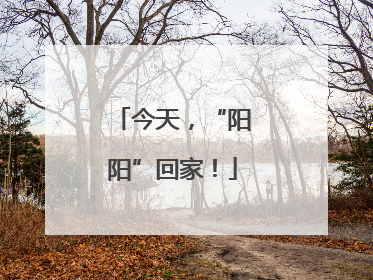 今天，“阳阳”回家！