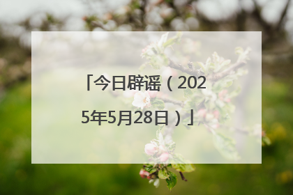 今日辟谣（2025年5月28日）