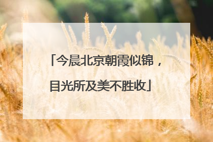 今晨北京朝霞似锦，目光所及美不胜收