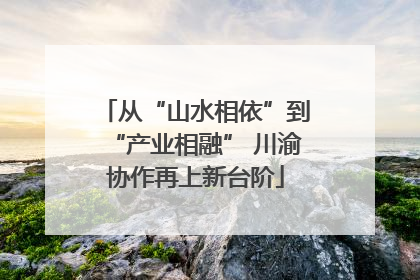 从“山水相依”到“产业相融” 川渝协作再上新台阶
