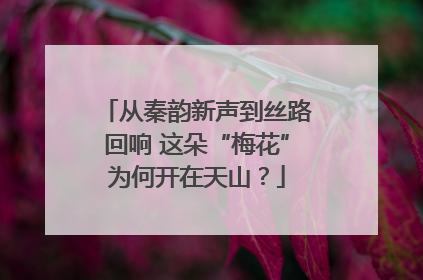 从秦韵新声到丝路回响 这朵“梅花”为何开在天山？