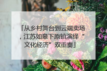 从乡村舞台到云端卖场，江苏如皋下原镇演绎“文化经济”双重奏