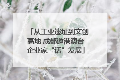 从工业遗址到文创高地 成都邀港澳台企业家“话”发展