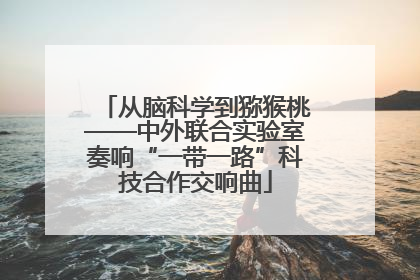 从脑科学到猕猴桃——中外联合实验室奏响“一带一路”科技合作交响曲
