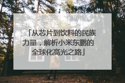 从芯片到饮料的民族力量，解析小米东鹏的全球化高光之路