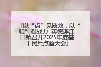 以“点”见质效，以“验”凝战力  英德连江口镇召开2025年度基干民兵点验大会