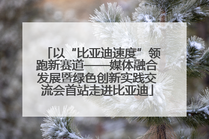 以“比亚迪速度”领跑新赛道——媒体融合发展暨绿色创新实践交流会首站走进比亚迪