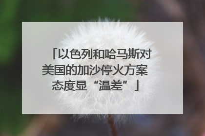 以色列和哈马斯对美国的加沙停火方案态度显“温差”