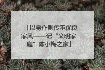 以身作则传承优良家风——记“文明家庭”陈小梅之家
