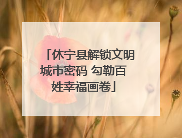 休宁县解锁文明城市密码 勾勒百姓幸福画卷