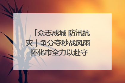 众志成城 防汛抗灾｜争分夺秒战风雨 怀化市全力以赴守护人民群众安全