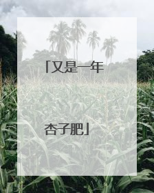 又是一年杏子肥