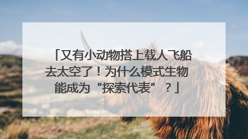 又有小动物搭上载人飞船去太空了！为什么模式生物能成为“探索代表”？