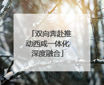 双向奔赴推动西咸一体化深度融合