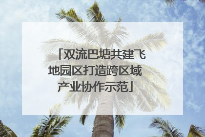 双流巴塘共建飞地园区打造跨区域产业协作示范