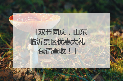 双节同庆，山东临沂景区优惠大礼包请查收！