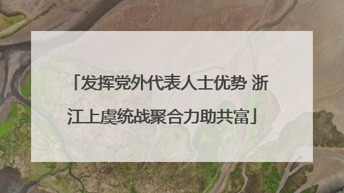 发挥党外代表人士优势 浙江上虞统战聚合力助共富