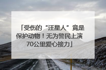 受伤的“汪星人”竟是保护动物！无为警民上演70公里爱心接力