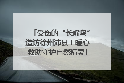 受伤的“长嘴鸟”造访徐州沛县！暖心救助守护自然精灵