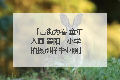 古街为卷 童年入画 襄阳一小学拍摄别样毕业照