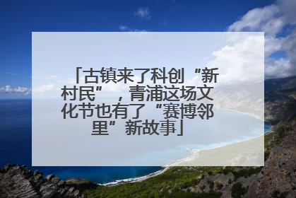 古镇来了科创“新村民”，青浦这场文化节也有了“赛博邻里”新故事