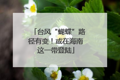 台风“蝴蝶”路径有变！或在海南这一带登陆
