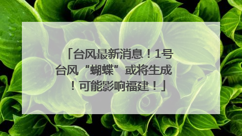 台风最新消息！1号台风“蝴蝶”或将生成！可能影响福建！