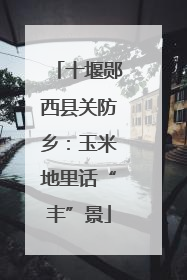 十堰郧西县关防乡：玉米地里话“丰”景
