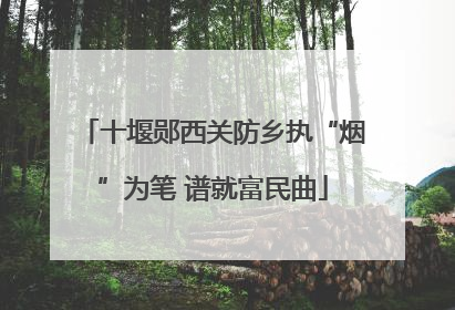 十堰郧西关防乡执“烟”为笔 谱就富民曲