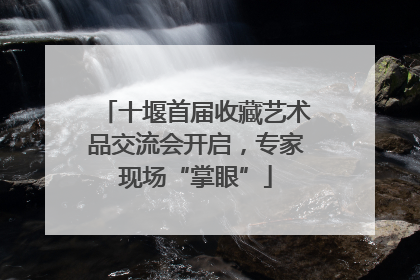 十堰首届收藏艺术品交流会开启，专家现场“掌眼”
