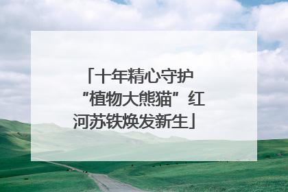 十年精心守护 “植物大熊猫”红河苏铁焕发新生