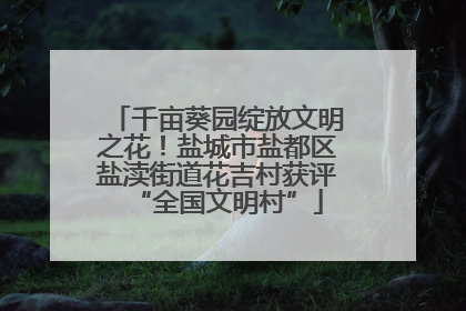 千亩葵园绽放文明之花！盐城市盐都区盐渎街道花吉村获评“全国文明村”